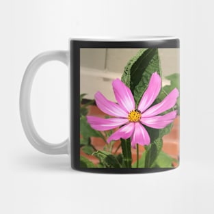 Serendipity Mug